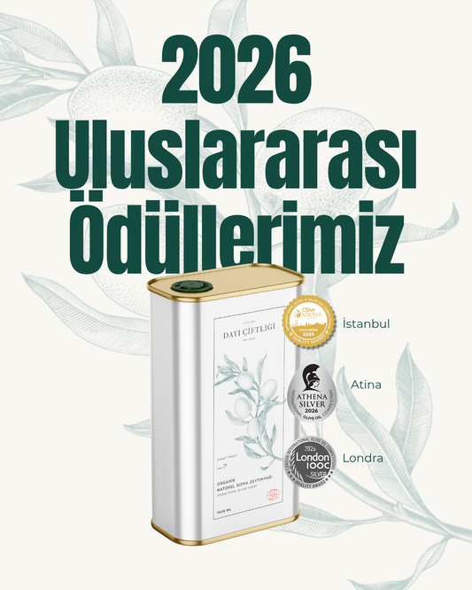 2026 Uluslararası Ödüllerimiz